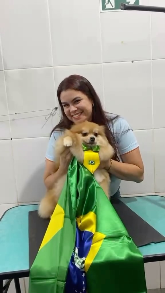 Sr. Vet Clínica Veterinária e Pet Shop